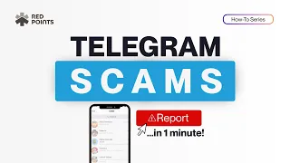 How to report a scam on Telegram in 1 minute