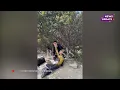Download Lagu Makin Serius! Nyoman Paul Diduga Ajak Keisya Levronka Bertemu Keluarga di Swiss, Romantisnya!