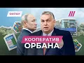 Кооператив Орбана: как Венгрия идет путем России и где остановится. Фильм Константина Гольденцвайга