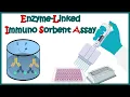 Download Lagu ELISA | Enzyme linked immonosorbent assay | ELISA test | Types of ELISA | Direct and Indirect ELISA