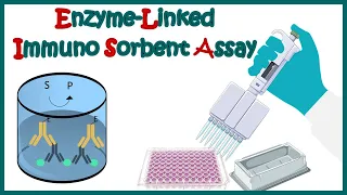 Download ELISA | Enzyme linked immonosorbent assay | ELISA test | Types of ELISA | Direct and Indirect ELISA MP3