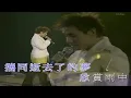 黄凯芹 Christopher Wong - 雨中的戀人們  ( Live 2002 )