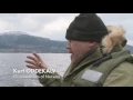 Download Farmed Norwegian Salmon World’s Most Toxic Food mp4 3gp mp3 videos - waplic