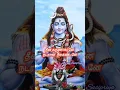Download Lagu தீனகருணாகரனே  நடராஜா நீலகண்டனே/ சிலிர்ப்பூட்டும் சிவன் பாடல் /Om Nama Sivaya /Mesmerising sivan song