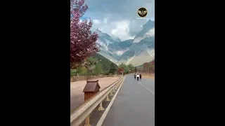 يا قلبي لا تتعب قلبك فيروز 