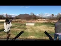 Silver Pigeon vs Browning Citori