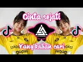 Download Lagu DJ CINTA SEJATI - LEMBAH YANG BERWARNA MEMBENTUK MELELKUK VIRAL TIKTOK