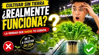 Nutrientes, pH, bombas… parece complicado, pero el verdadero secreto es mucho más simple
