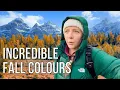 Download Lagu Moraine Lake in Fall (Larch Valley Hike)