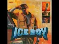 ICEBOY