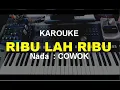 Download Lagu ribu-ribu karouke