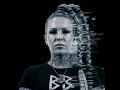 Don’t Let Me Disappear (feat. Ylva Ironheart)