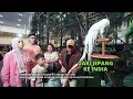 Download Lagu Keluarga Kinos \u0026 Nycta Gina Bermain Bersama Hewan Koleksi deHakims | FYP (02/07/25) Part 3