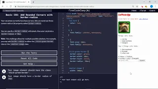 Basic CSS Add Rounded Corners with border-radius freeCodeCamp