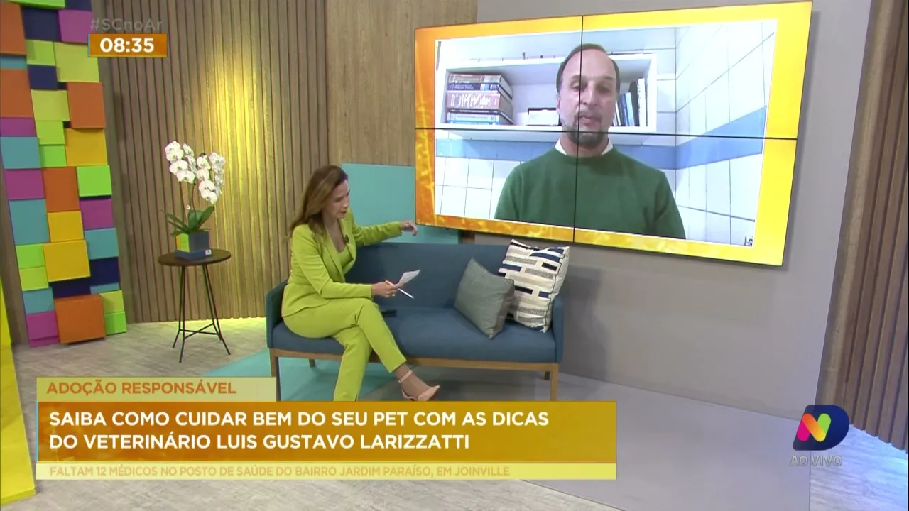 Veterinário explica como cuidar dos animais de estimação de forma responsável