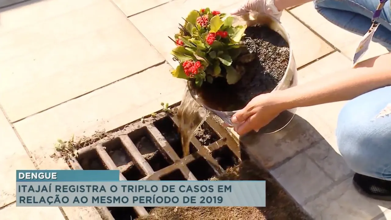 Itajaí tem o triplo de casos de dengue em relação ao ano passado