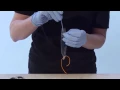 Biology Experiment 3 HOL Diffusion across a membrane