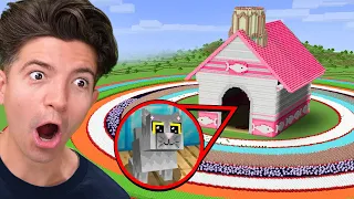 I Built The SAFEST House for my Wife's Cat!