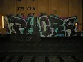 Phora - P.H.O.R.A