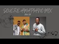 Download Lagu AMAPIANO MIX | Soulful Exclusives 2024 | MURUMBA PITCH | MDU AKA TRP | LOWBASS DJY.