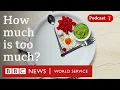 Portion sizes Am I eating the right amount - The Food Chain podcast BBC World Service