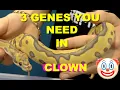 3 Genes you Need In Your Clown Ball Python Projects