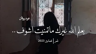 عمر يوم كلن تمنى شوفة اللي يريد عود وايقاع نغمة وتر 2023 
