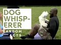 Solving homophobia racism Dog Whisperer by KG Marston Short Film Random Acts