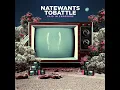 The Wrecked and the Worried - NateWantsToBattle