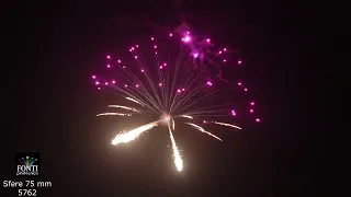      دندنها