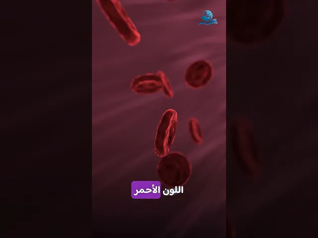 ⁣هل تعلم أن دم العناكب لونه أزرق؟