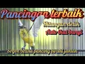 Download Lagu ✅ “Sogon Betina Gacor! Pancing Birahi Jantan Seketika 🔥”pancingan sogon gacor  memanggil lawan