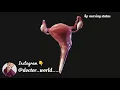 The female reproductive system Merck manual consumer version