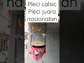 Download Lagu pleci juara nasional nembak panjang #shorts