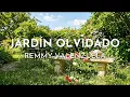 Remmy Valenzuela - Jardín Olvidado (Visualizer)
