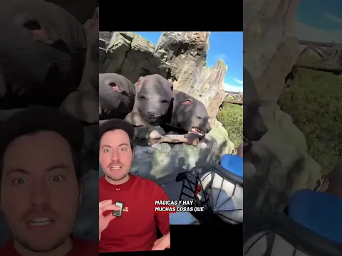 Mejores Montañas Rusas en UNIVERSAL ORLANDO