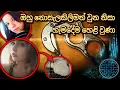 l serial killer l Adam strong case l