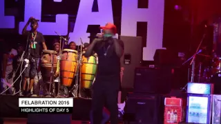 q dots performance at felabration2016