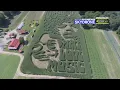 Mike s Maze crafts a groovy Woodstock-inspired corn maze