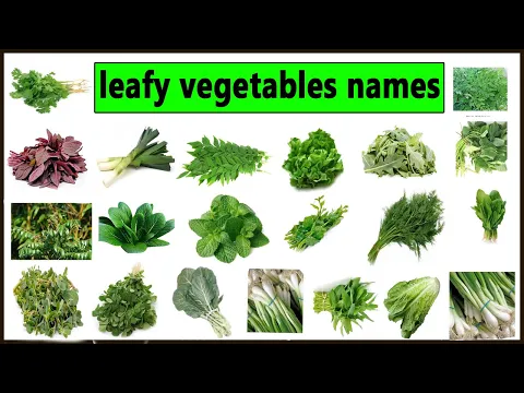 Download MP3 List of Edible leaves names with pictures . Types of greens to cook. Types of Leafy greens. Kale,