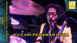 black dog bone ku cari penawar duka konsert dulu dan sekarang 