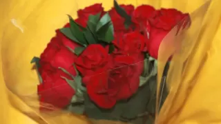 لولوة نجد   عسيري مع جيزاني بدون موسيقى  حفل ال العمودي دندنها