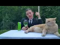 when reviewbrah laughs at his cat