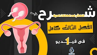 شرح فصل التكاثر فى الكائنات الحيه كامل فى فيديو واحد احياء تالته ثانوى 2023 إيمان حسن 