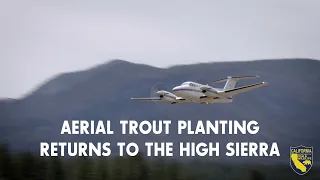Aerial Trout Planting Returns to the High Sierra