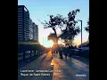 Love leve - Amanda Coronha (Rique de Saint Remix)
