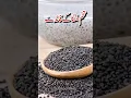Download Lagu Tukh Malanga Ke Fayde, Health Benefits of Basil Seeds #healthbenefits #youtubeshorts
