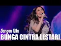 Download Lagu Jangan Gila - Bunga Cintra Lestari ( Lirik )