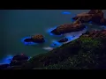 James Horner - The bioluminescence of the night (Slowed + reverb)