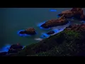 Download Lagu James Horner - The bioluminescence of the night (Slowed + reverb)